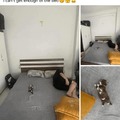 commented item thumbnail