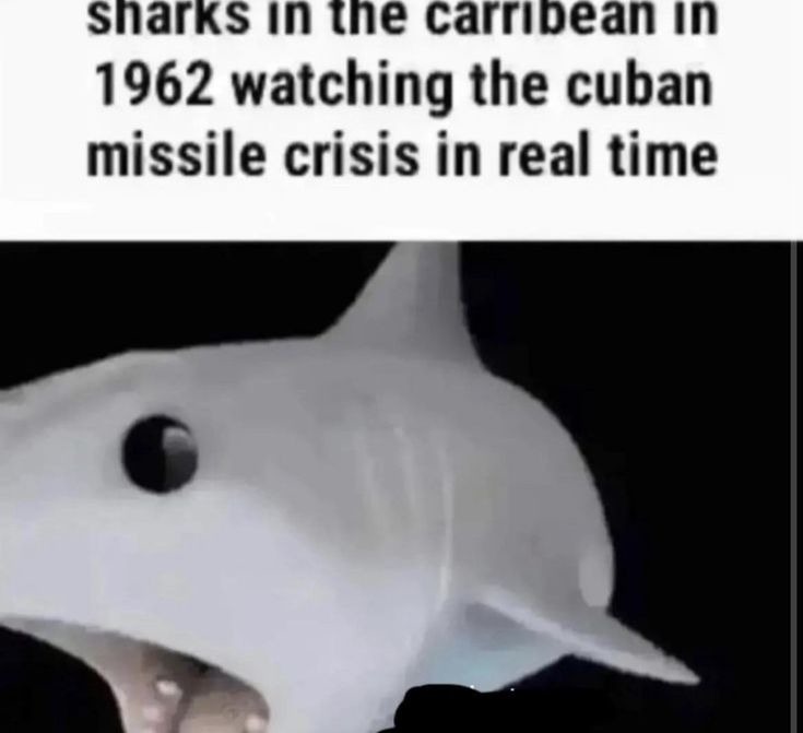 Crisis de los misiles - meme