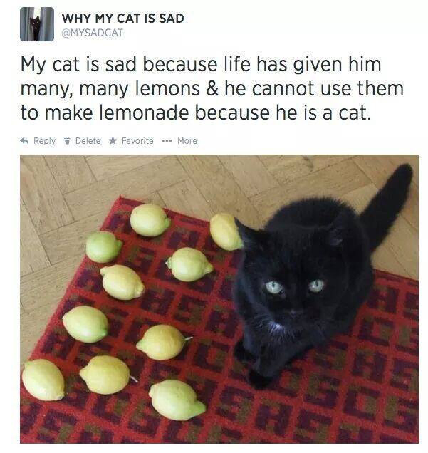 When live gives you lemons... - meme