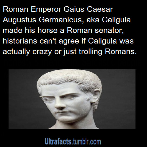Dem Romans again - meme