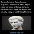 Dem Romans again