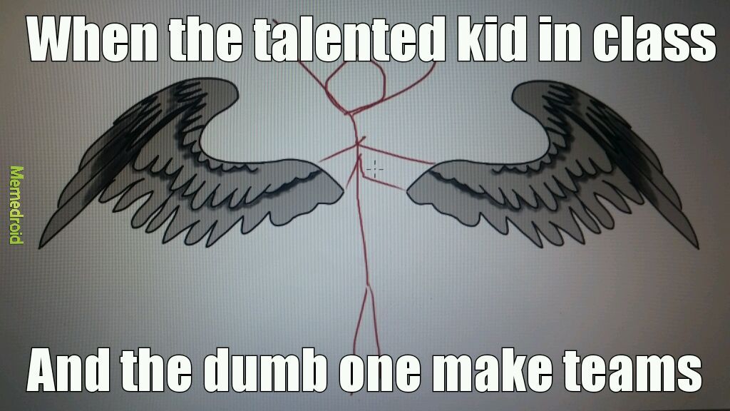 I drew those wings :3 waddya think? - meme