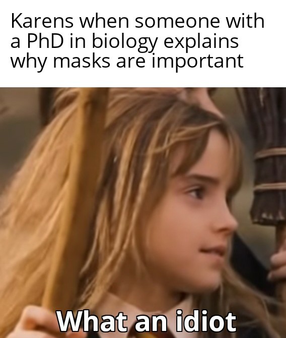 Karens when someone with a PhD in biology explains why masks are important - meme