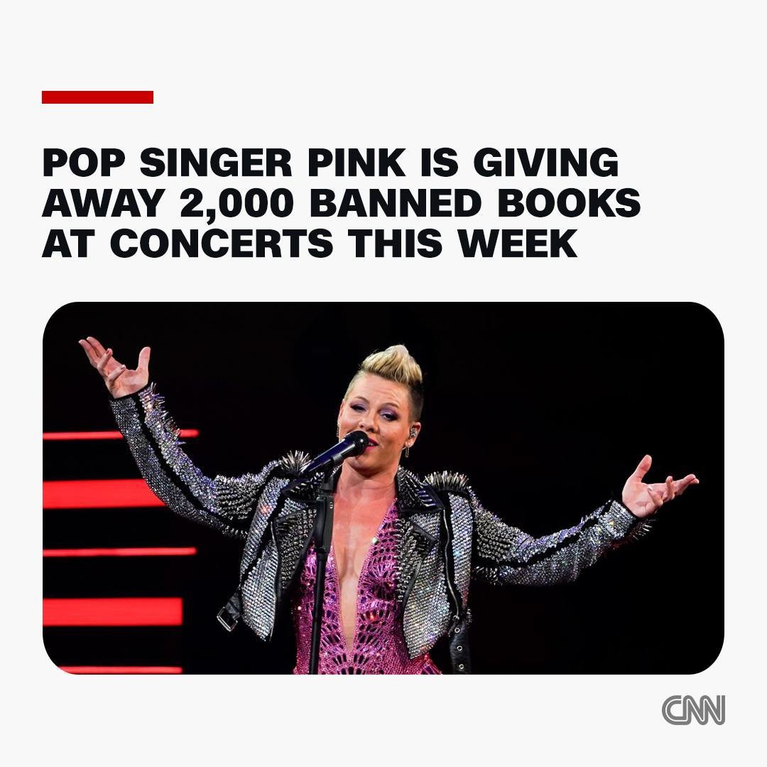 Just when I thought Pink couldn’t possibly be any cooler - meme