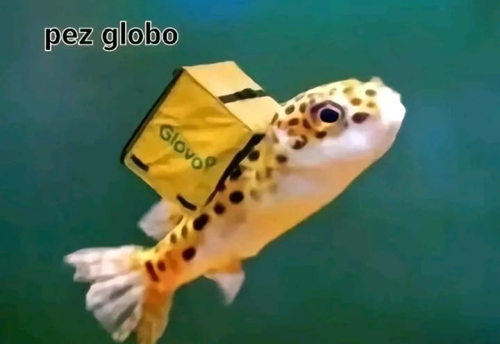 pez globo - meme