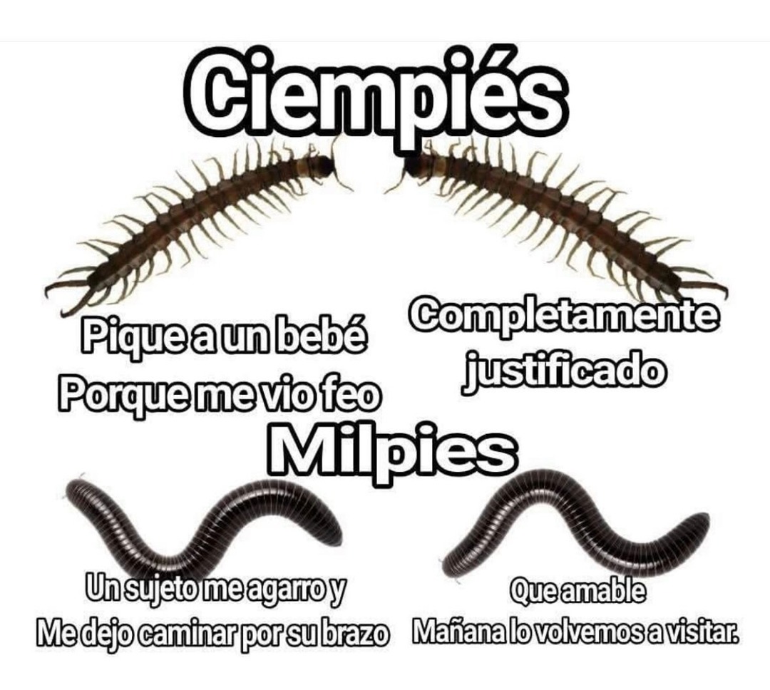Milpiés amable me dejó caminar por su brazo, gracias crack - meme