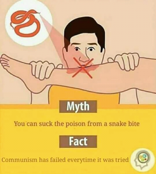 Myth and fact - meme