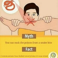 Myth and fact