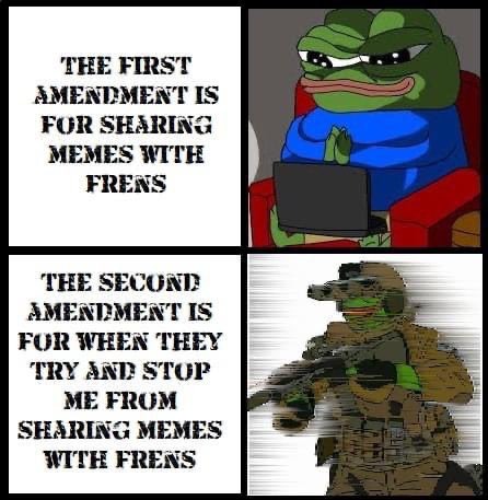 First and Second Amendments - meme