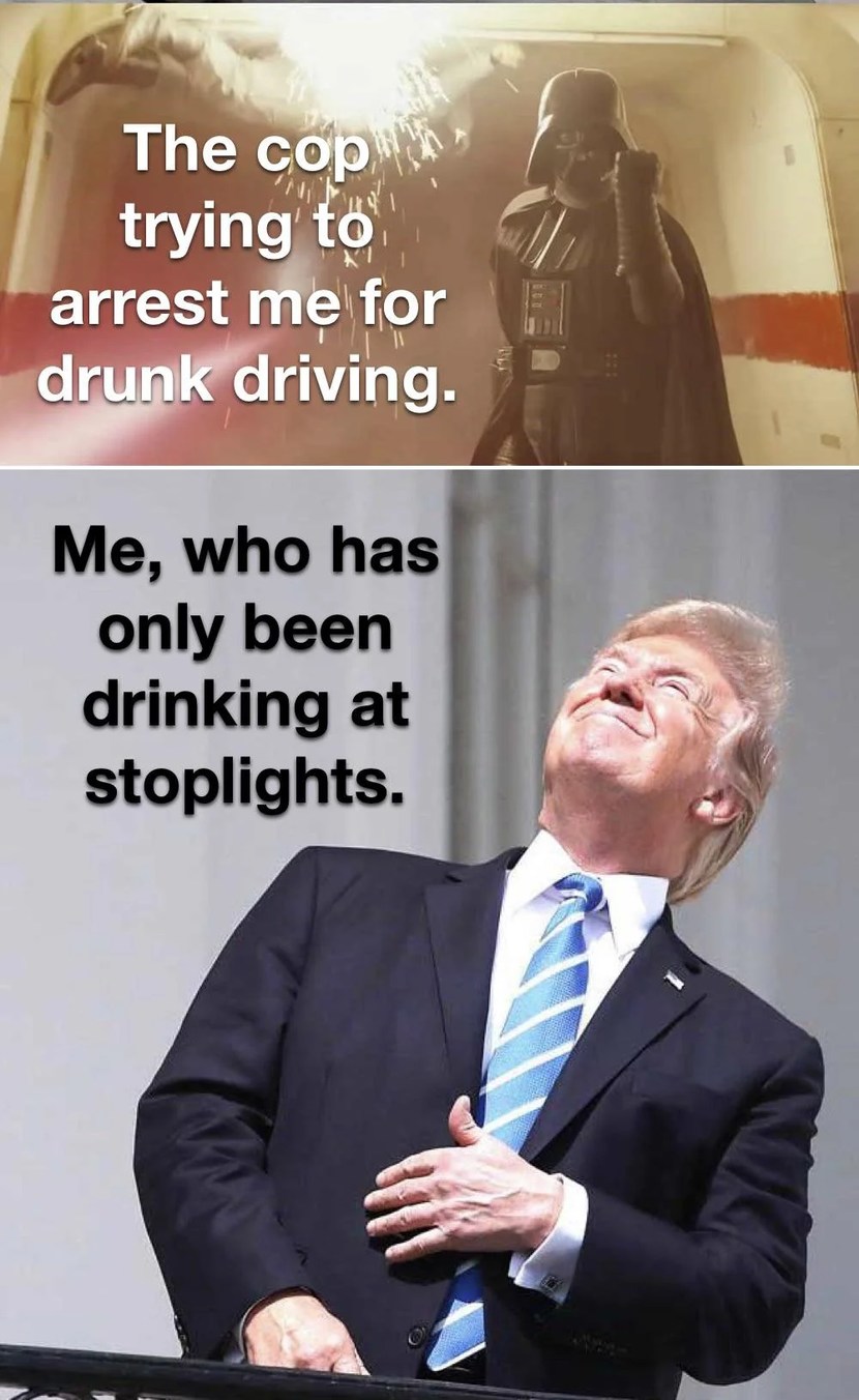 Darth Vader is in fact kind of a cop - meme