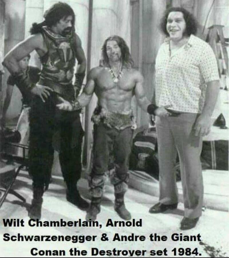 Damn. Arnold looks like a dwarf next to those giants - meme