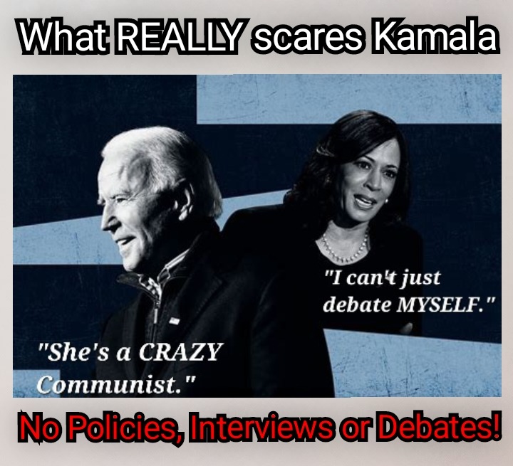 And She Can't Blame Trump For Anything SHE Did - meme
