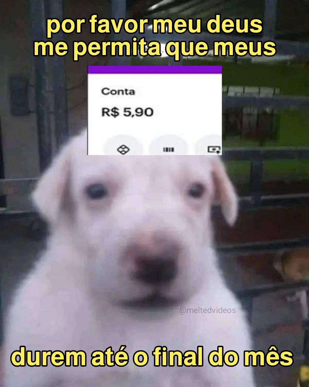Eu preciso de pixxxx - meme
