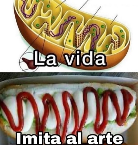 La vida imitando al arte y perdiendo por goleada - meme