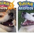 Pokémon Sol Luna