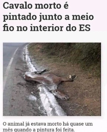 Alazão se refere ao Burro do Shrek, o único q conseguiu pegar um dragão e  ter filhos (Além do seu pai ) - Meme by Cafezinhohmmmm :) Memedroid