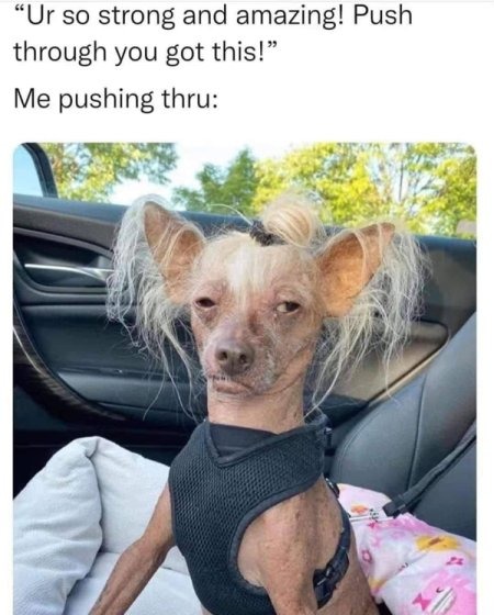 Ha - meme