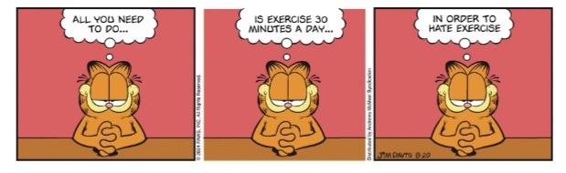 Garfield - meme