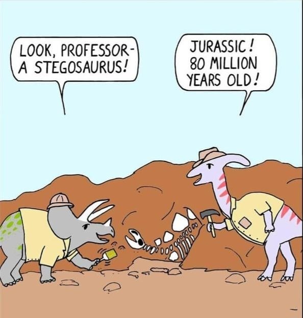 Jurassic vibes when you see a real-life stegosaurus - meme