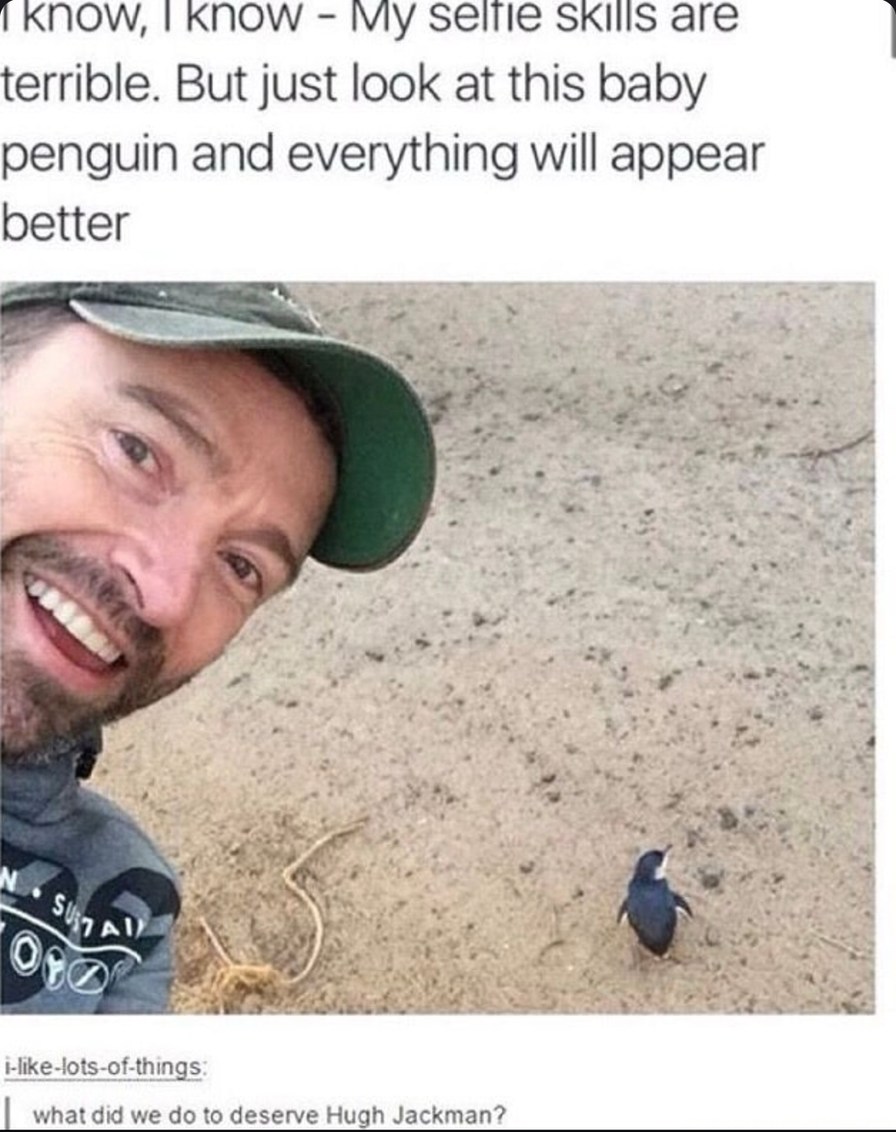 Your selfie sucks but the penguin saves it all - meme