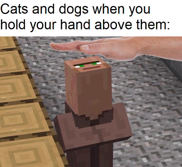Cats and dogs when you hold your hand above them - meme