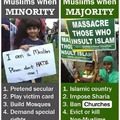 Minority vs Majority