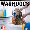 Lave chien