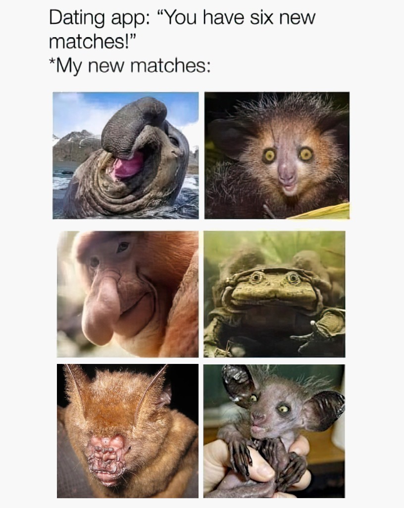 A match! - meme