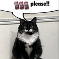 commented item thumbnail