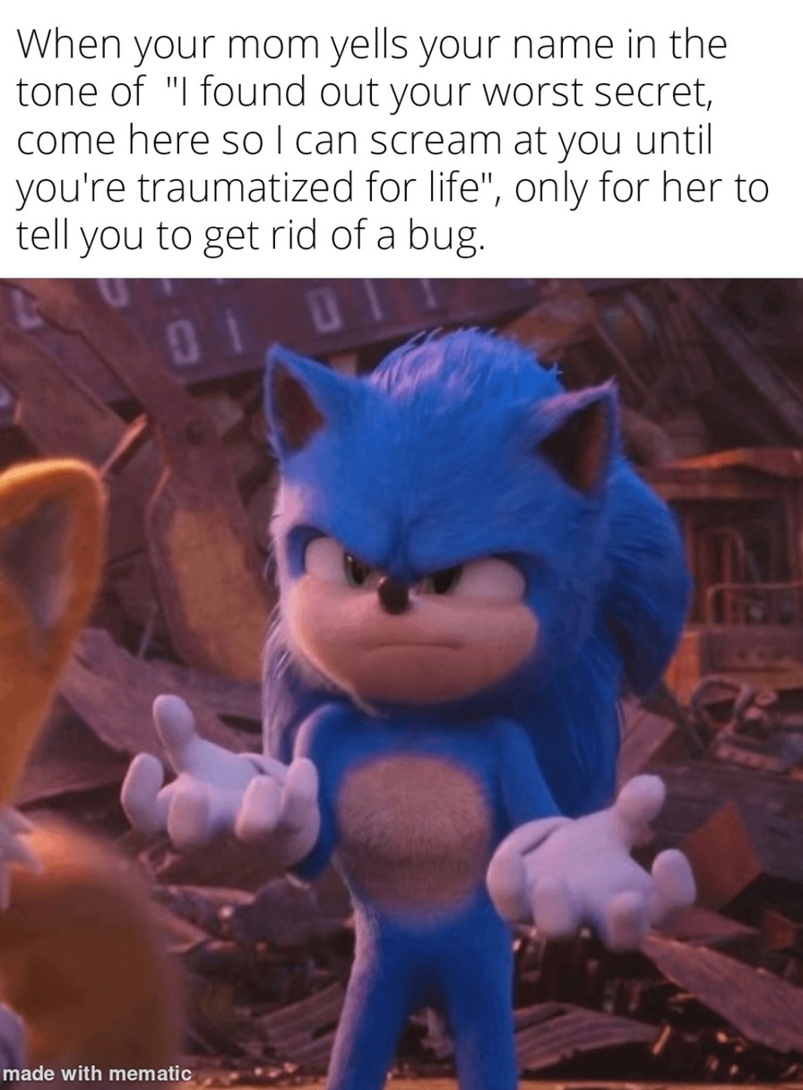 Mom calls me like she found out a secret just to ask me to kill a bug - meme