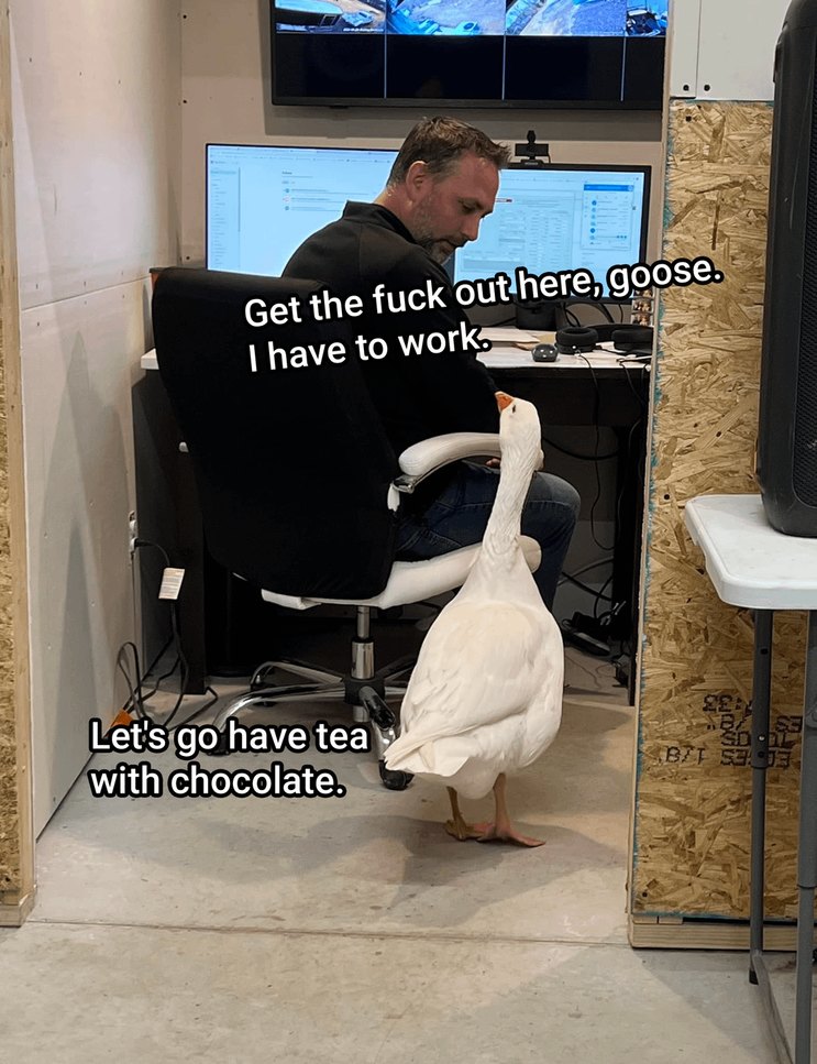 Yeeep - meme