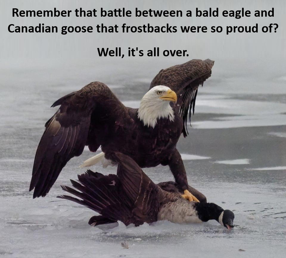When wimps act tough, wimps get creamed - meme