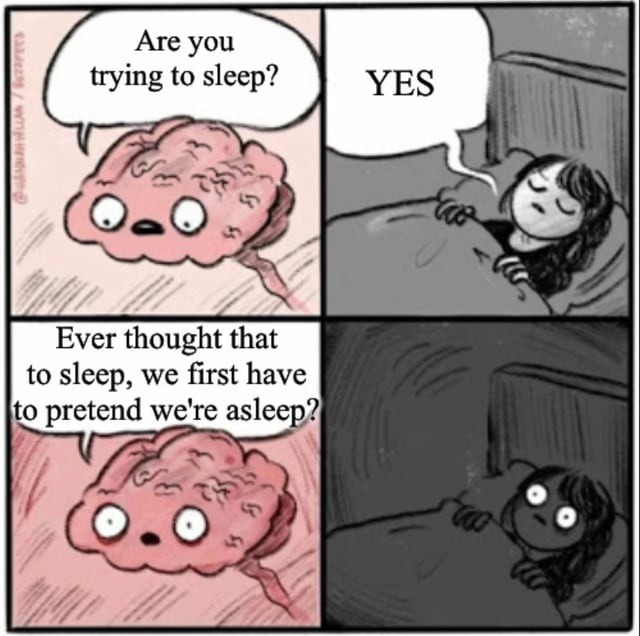 pretending to sleep is the final boss of falling asleep - meme