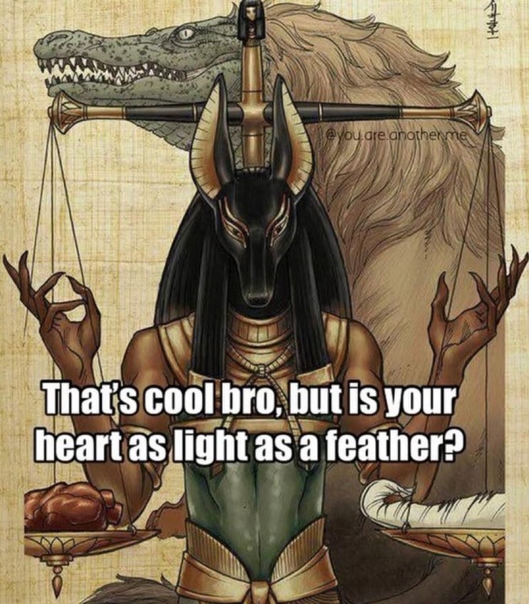 Cool bro, but is your heart light as a feather? - meme