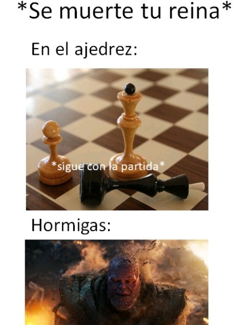 En el ajedrez - meme