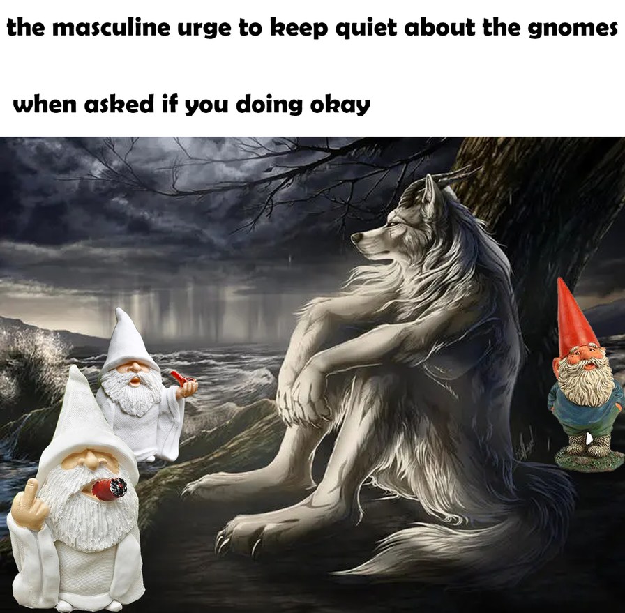 The masculine urge to keep quiet about the gnomes when asked if you doing ok - meme