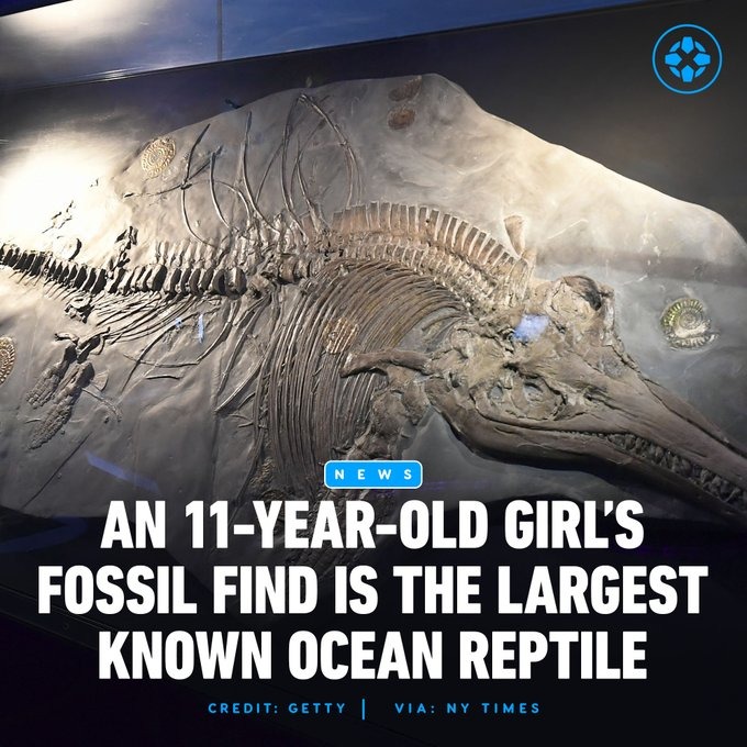 11yo girl finds the largest ocean reptile fossil - meme