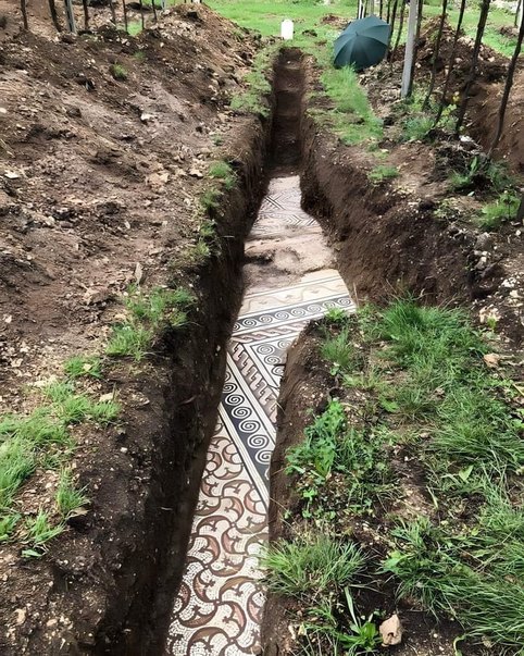 Mosaics of a Roman villa were found under a vineyard in Negrar, Italy - meme