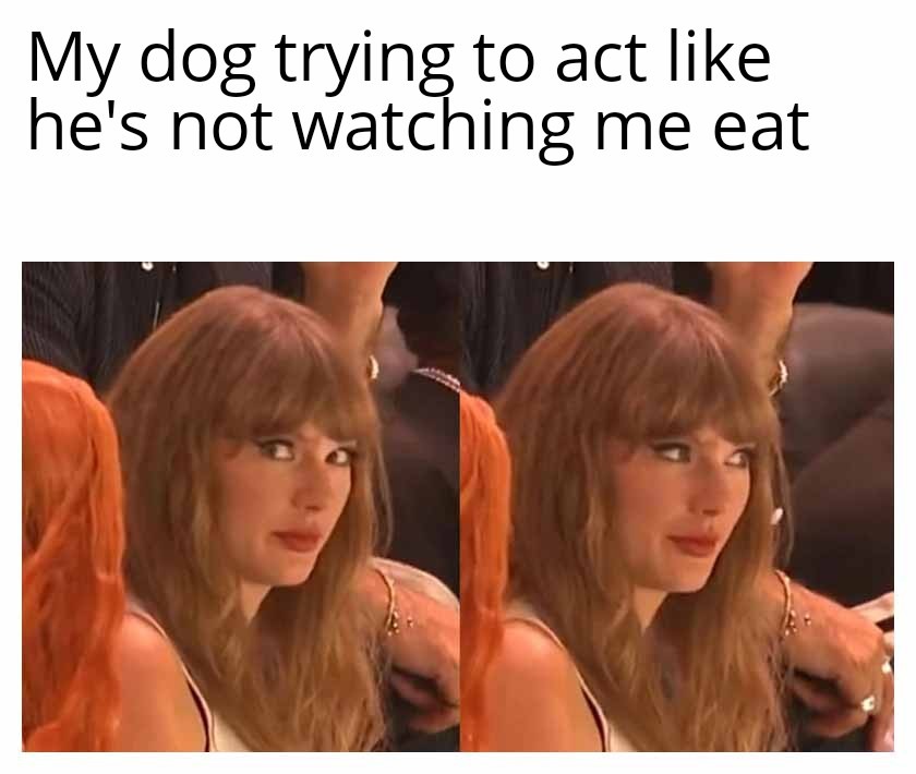 I see you seeing me - meme