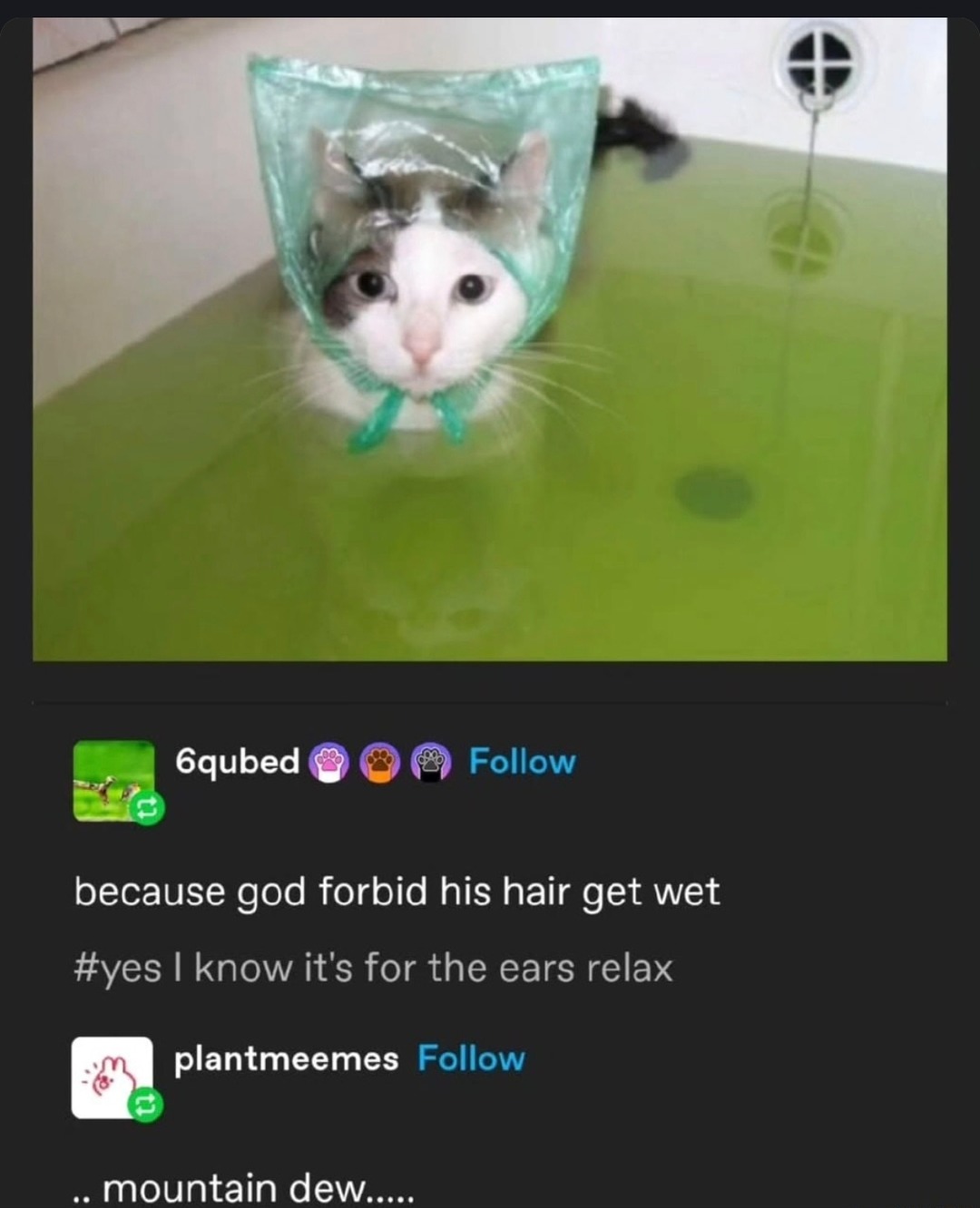 His hair must not get wet or we all perish apparently - meme