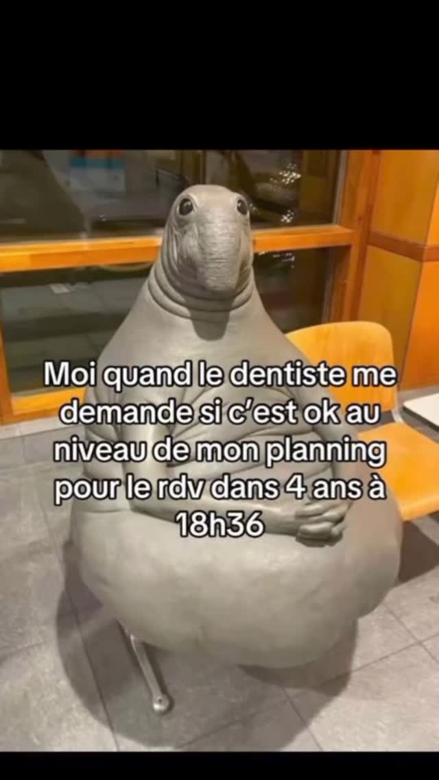 Mon dentiste qui me cale un rdv pour 2030 à 18h36 pile - meme