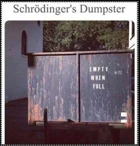 dumpster fire - meme