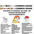 common sense vs contrarian hypocrisy