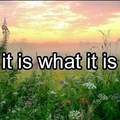 Taking "it is what it is" from "I Am that I Am"