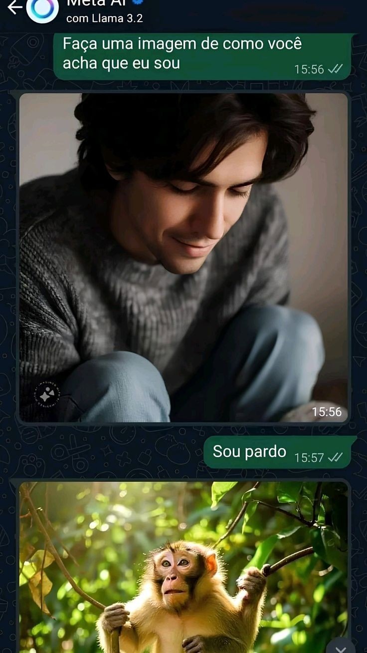 Pardo - meme