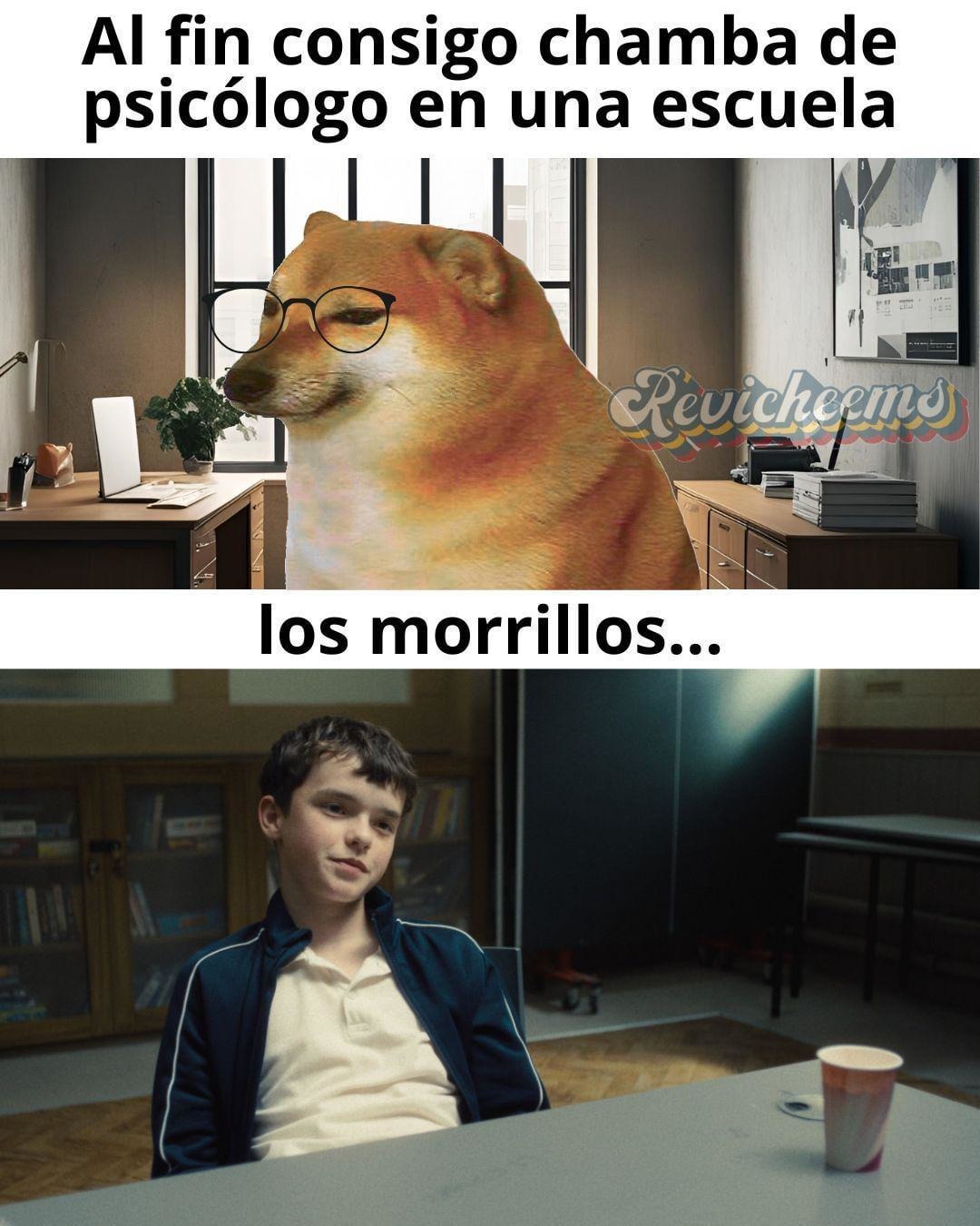 Primer día como psicólogo escolar y ya quiero renunciar - meme