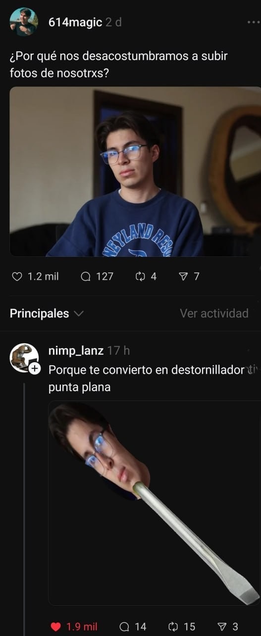 Por qué dejamos de subir fotos nuestras? porque ahora somos destornilladores - meme