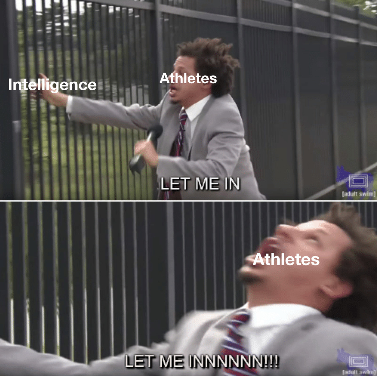 Athletes - meme