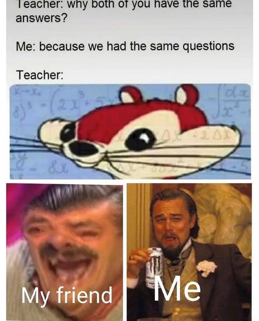 dongs in school - meme