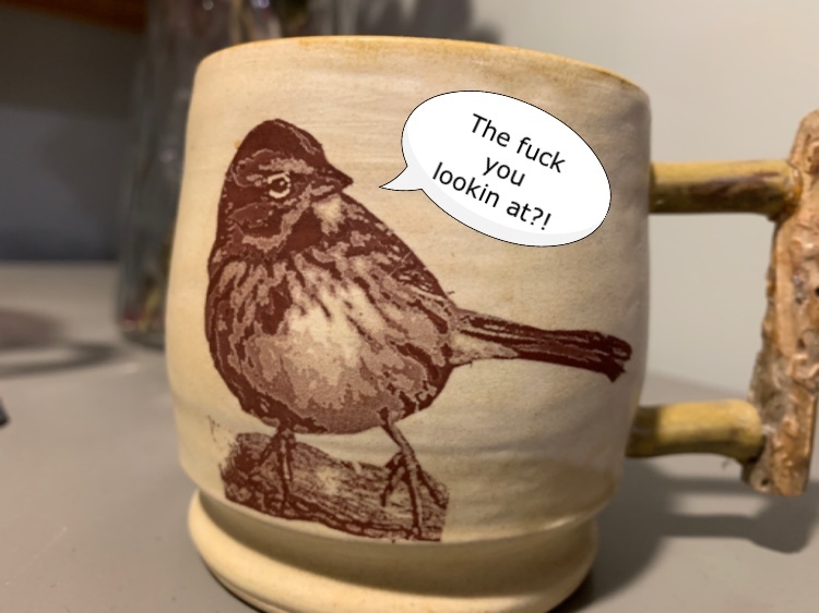 angry bird - meme
